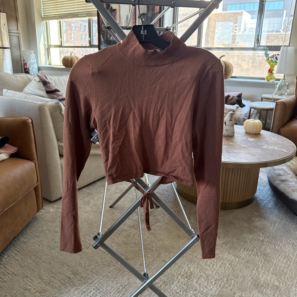 Aritzia Brown Long Sleeve Crop Top